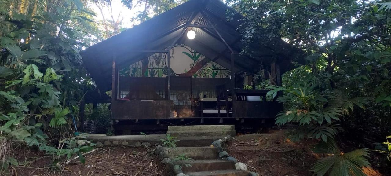 Los Mineros Guesthouse Dos Brazos Ngoại thất bức ảnh