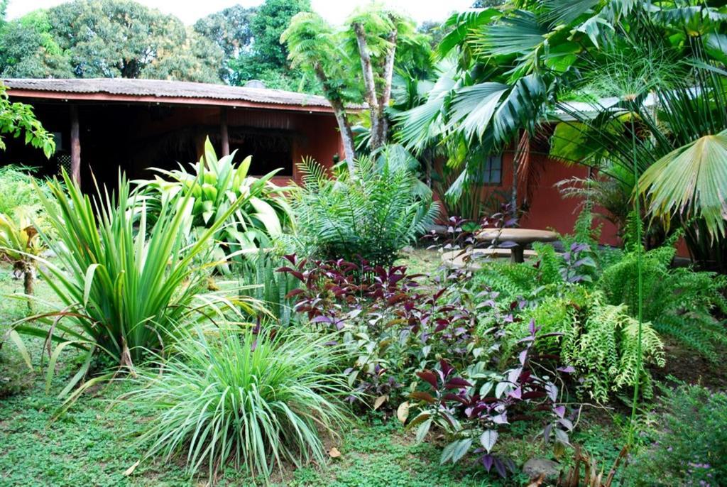 Los Mineros Guesthouse Dos Brazos Ngoại thất bức ảnh
