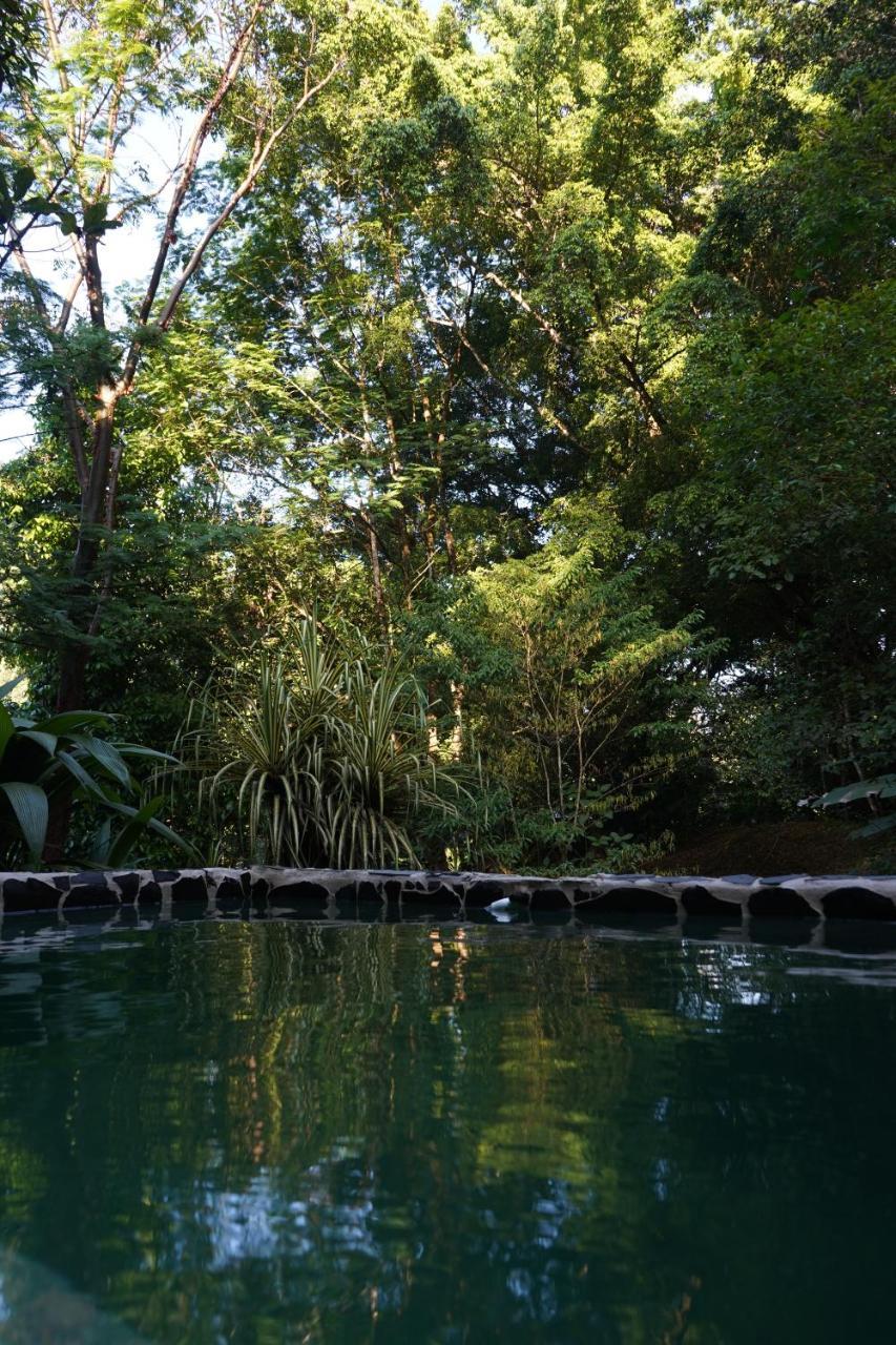 Los Mineros Guesthouse Dos Brazos Ngoại thất bức ảnh