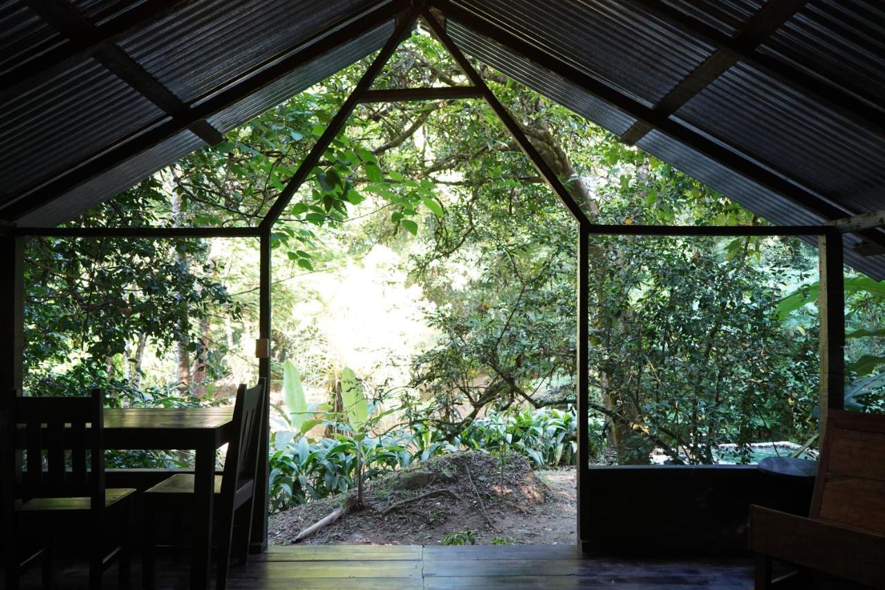 Los Mineros Guesthouse Dos Brazos Ngoại thất bức ảnh